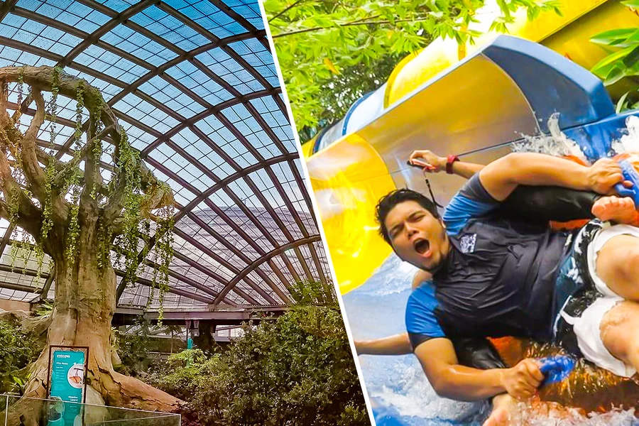Combo (Save 8%): Entopia by Penang Butterfly Farm + ESCAPE Penang Tickets, Penang