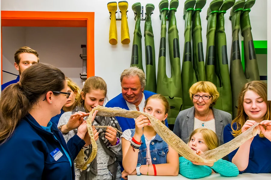 SEA LIFE London Aquarium Behind The Scenes Tour, London