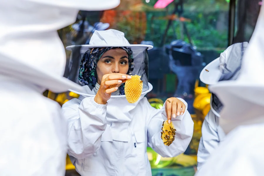 Expo City: Beeking Experience at Terra Tickets, Dubai