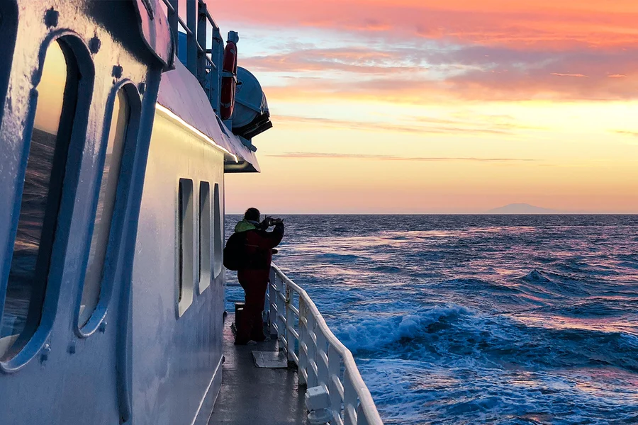 From Reykjavik: Midnight Sun Whale Watching Tour, Reykjavik