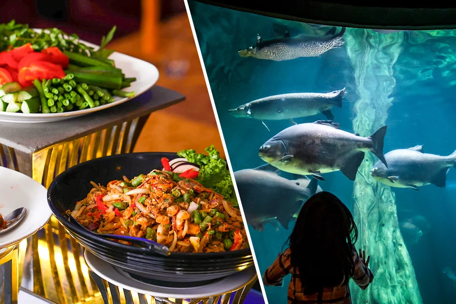 Combo (Save 21%): Dinner Buffet at ORBIT in KL Tower + Aquaria KLCC Tickets, Kuala Lumpur