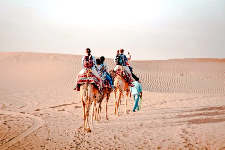 Abu Dhabi Morning Desert Safari with Camel Ride, Dune Bashing & Sandboarding, Abu Dhabi
