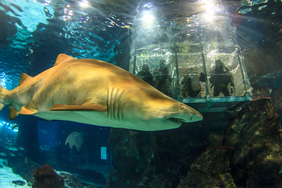 Barcelona Aquarium Flexible Entry Tickets, Barcelona