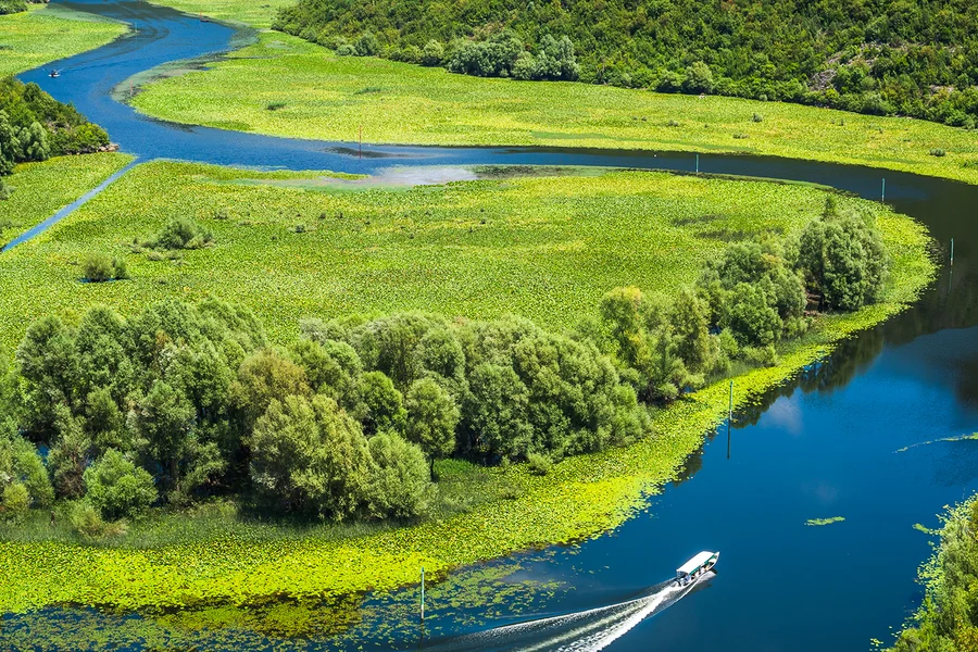 From Kotor/Budva/Tivat/Herceg Novi: Lake Skadar & Biograd Day Trip with Boat Ride, Kotor