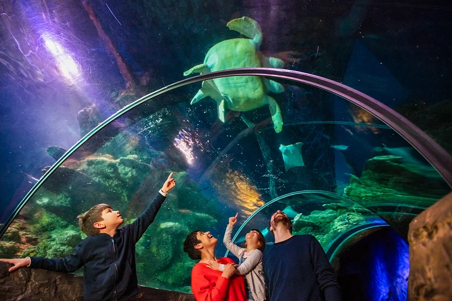 SEA LIFE London Aquarium: Anytime Entry Tickets, at SEA LIFE London Aquarium, London