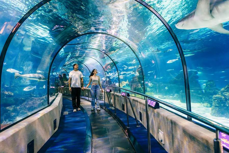 Barcelona Aquarium Skip-the-Line Tickets, Barcelona