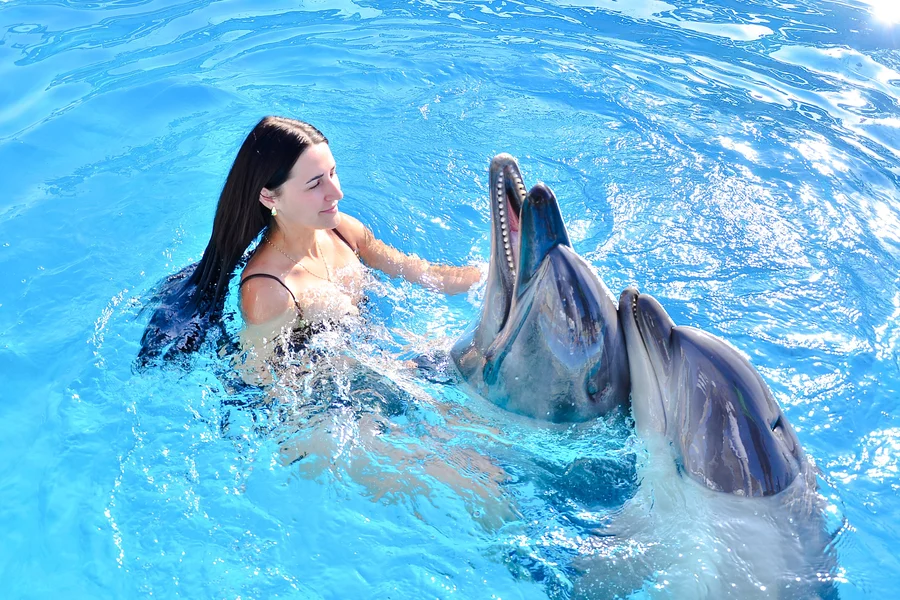 Private Dolphin Swim Adventure at Hurghada Dolphin World, Hurghada