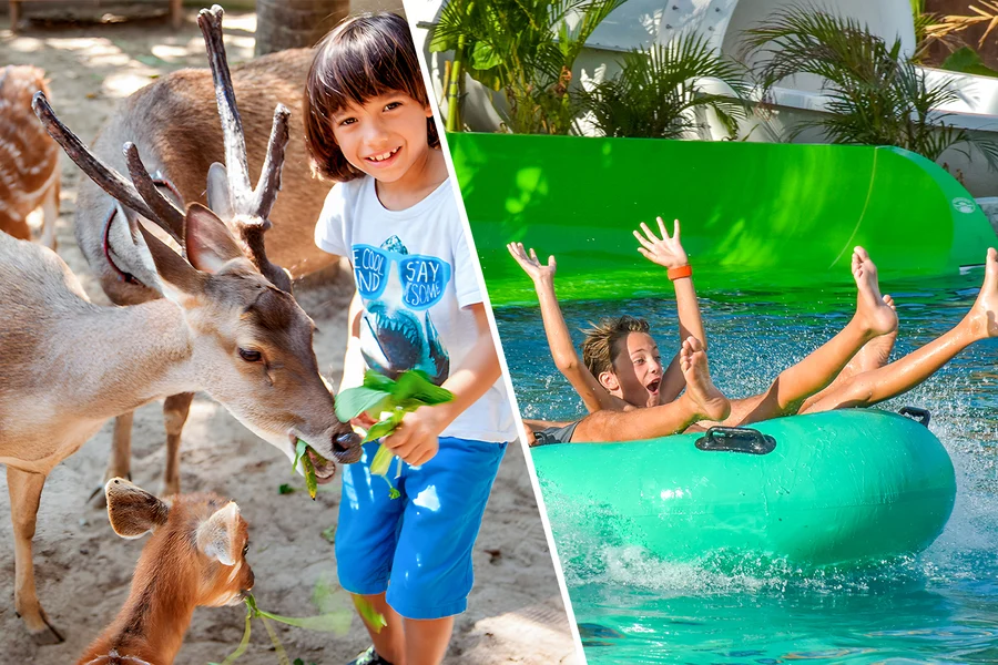 Combo (Save 30%): Bali Zoo + Waterbom Bali Tickets, Bali