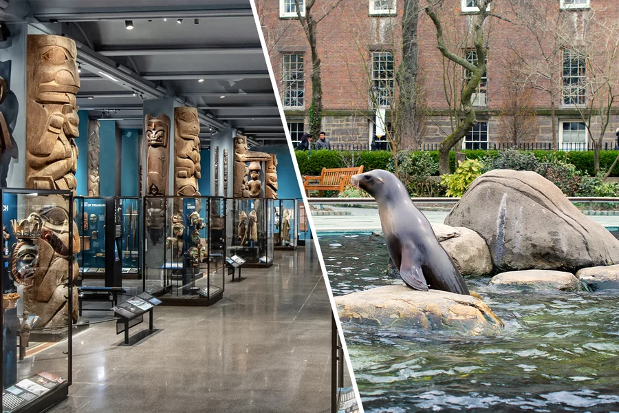 Combo (Save 6%): American Museum of Natural History + Central Park Zoo Tickets, New York