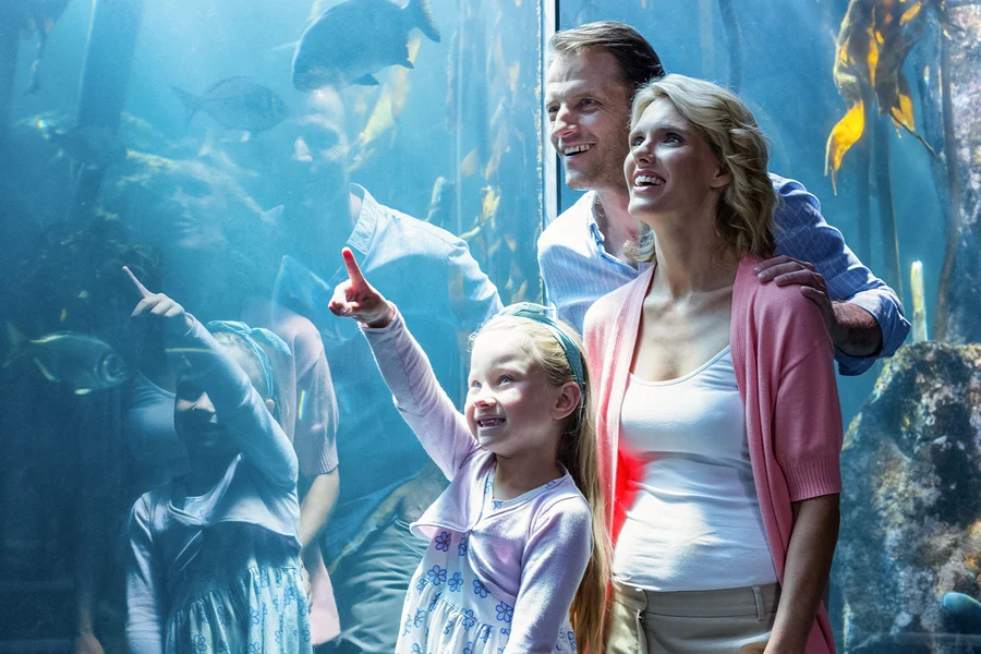 Cairns Aquarium General Admission Tickets with Turtle Hospital Tour, Cairns