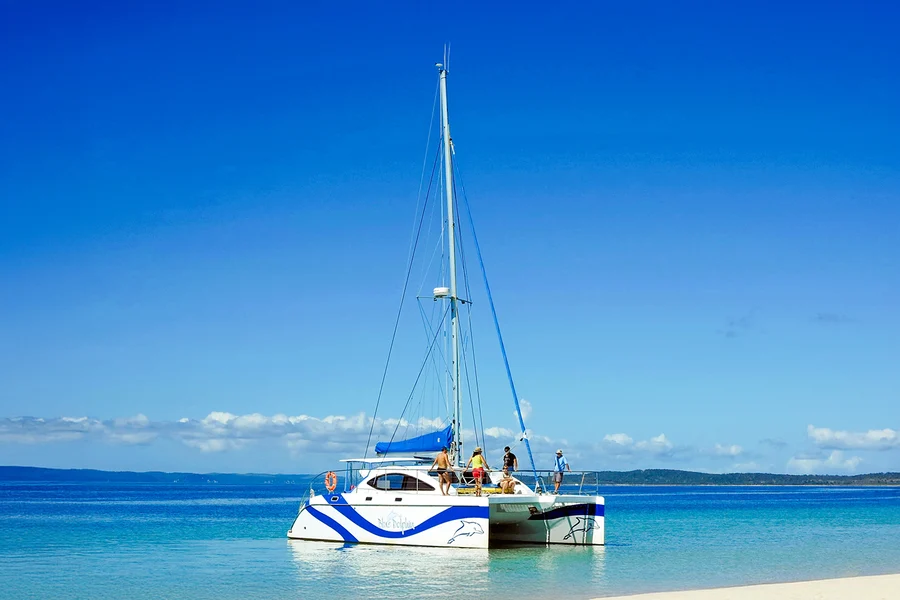 From Hervey Bay: K'gari (Fraser Island) Dolphin Eco-Sailing Cruise, Brisbane