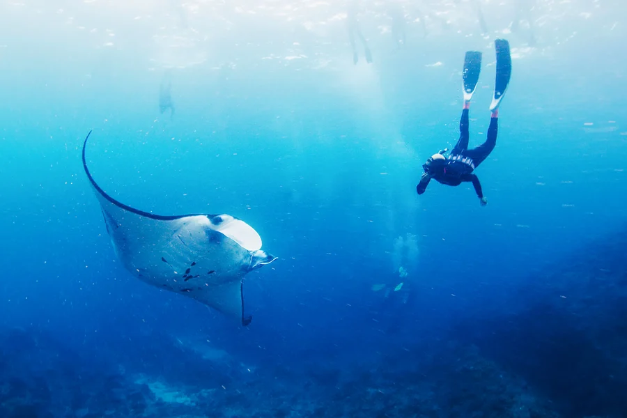 Snorkel with Manta Rays with Lembongan Island Tour & Hotel Transfers, Bali