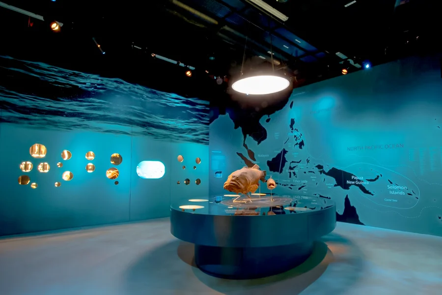 Lee Kong Chian Natural History Museum Tickets, Singapore