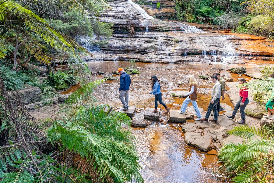 藍山之旅配午餐、風景世界、動物園、導賞叢林步行及河上遊, Sydney