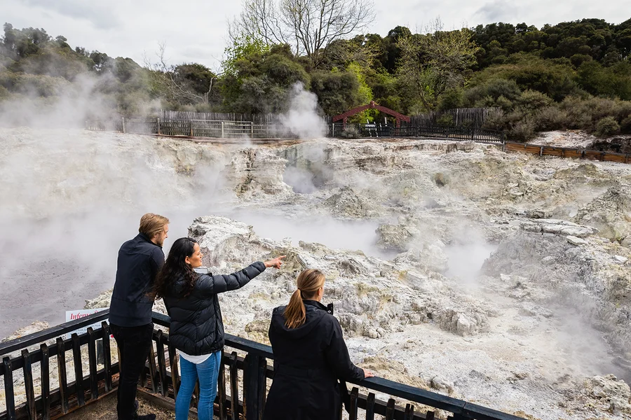 Hell's Gate Geothermal Walk & Māori Carving Tickets, Rotorua