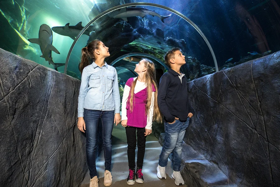 SEA LIFE Munich Ticket, Munich