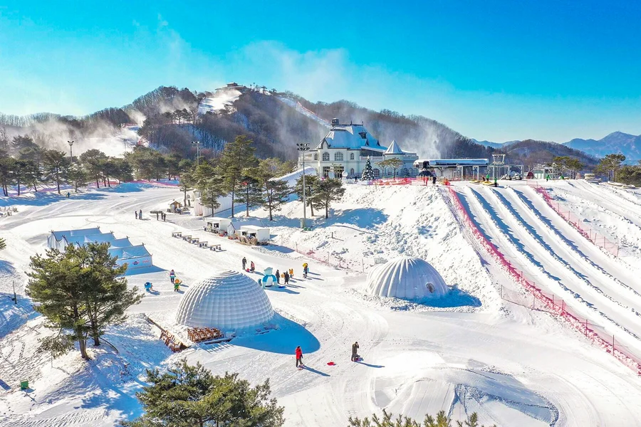 Vivaldi Park Ski World Official Pass + Shuttle from Seoul, Seoul