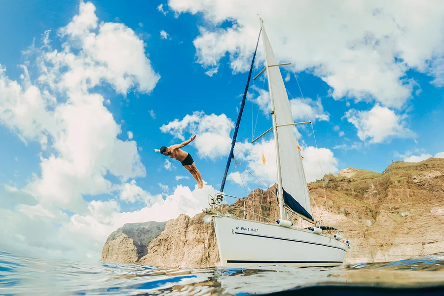 Los Gigantes: Private Whale & Dolphin Watching Cruise , Tenerife