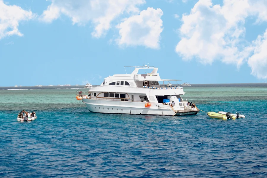 Dolphin House: VIP Cruise with Snorkeling, Buffet, Massage & Transfers, Hurghada