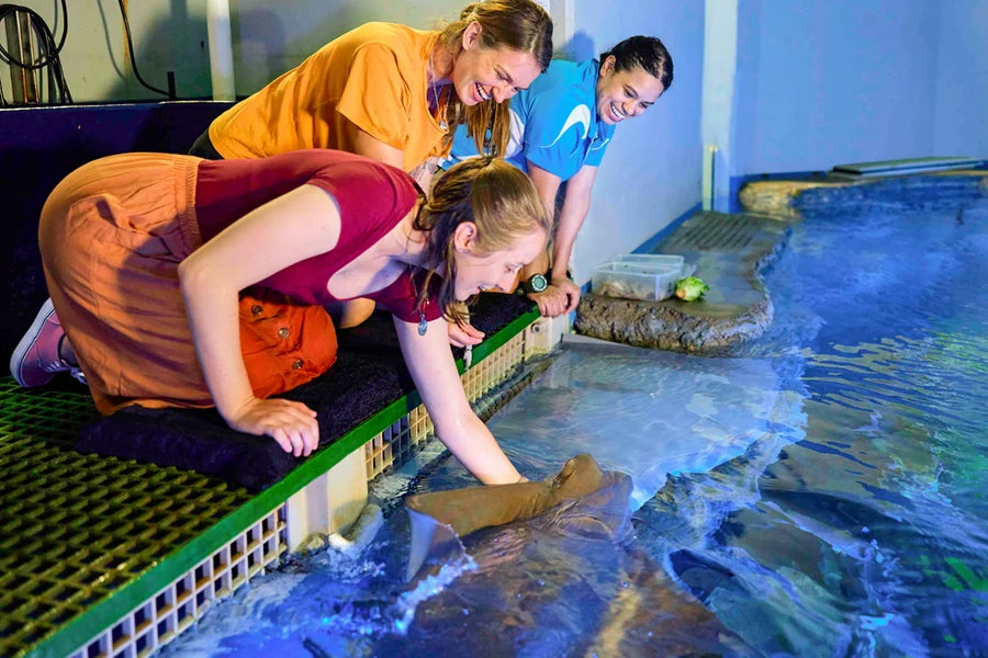 Marine Life Encounter at Cairns Aquarium, Cairns