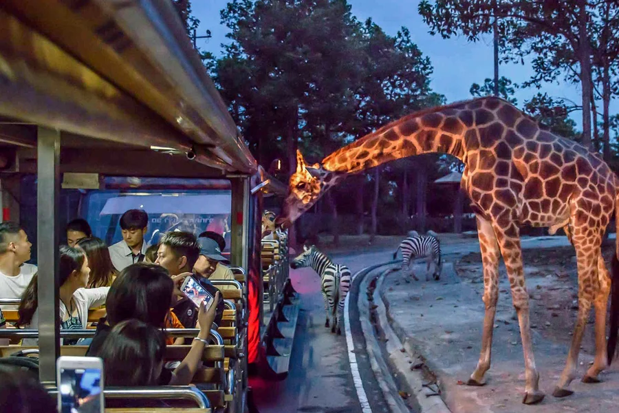 Chiang Mai Night Safari Tickets with Transfers: Non-Thai Residents, Chiang Mai