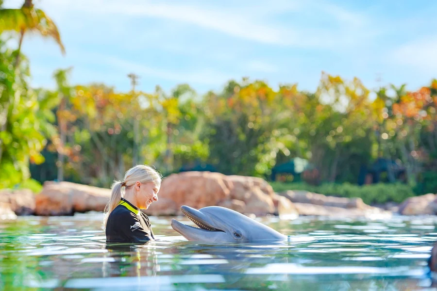 Discovery Cove Orlando Tickets, Orlando