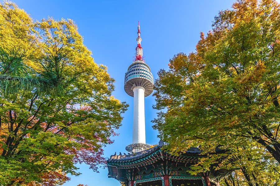 N Seoul Tower Observatory with Namsan Cable Car Round-trip Tickets (Ticket Pick-Up: Myongdong Rednow), Seoul
