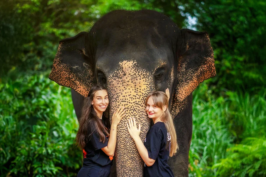 Elephant Sanctuary Half Day Tour with Transfers in Phuket, Phuket