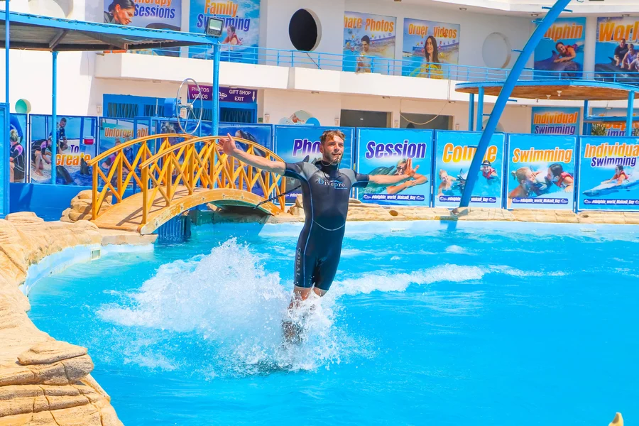 Hurghada Ultimate Dolphin Experience with Dolphin Show, Swimming Experience & Photo Session with Transfers, Hurghada