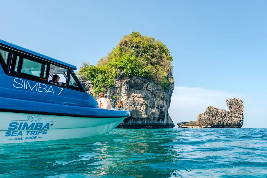 From Phuket: Sunrise Tour of Phi Phi Island, Maya Bay & Bamboo Island by Speedboat with Lunch & Hotel Transfers, Phuket