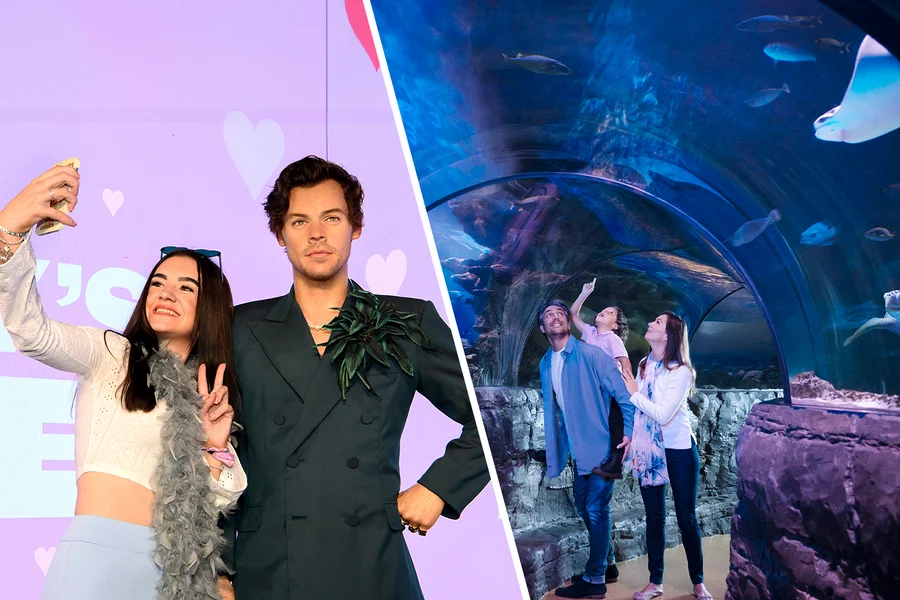 Combo: Madame Tussauds + SEA LIFE London Aquarium Tickets, at Madame Tussauds London, London
