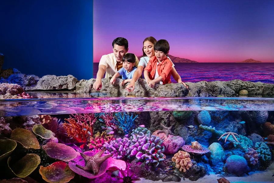 Combo: SEA LIFE Bangkok + Madame Tussauds Bangkok Tickets, Bangkok