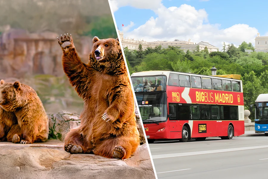 Combo: Madrid Zoo Aquarium Tickets + Madrid Panoramic View Bus Tour, Madrid