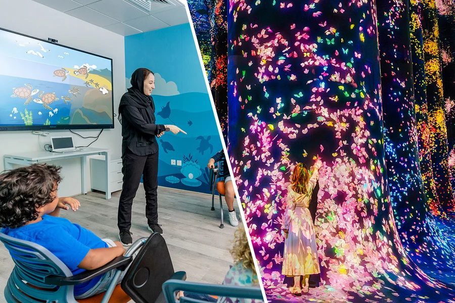 Combo (Save 15%): National Aquarium Abu Dhabi + teamLab Phenomena Abu Dhabi Tickets
, Abu Dhabi