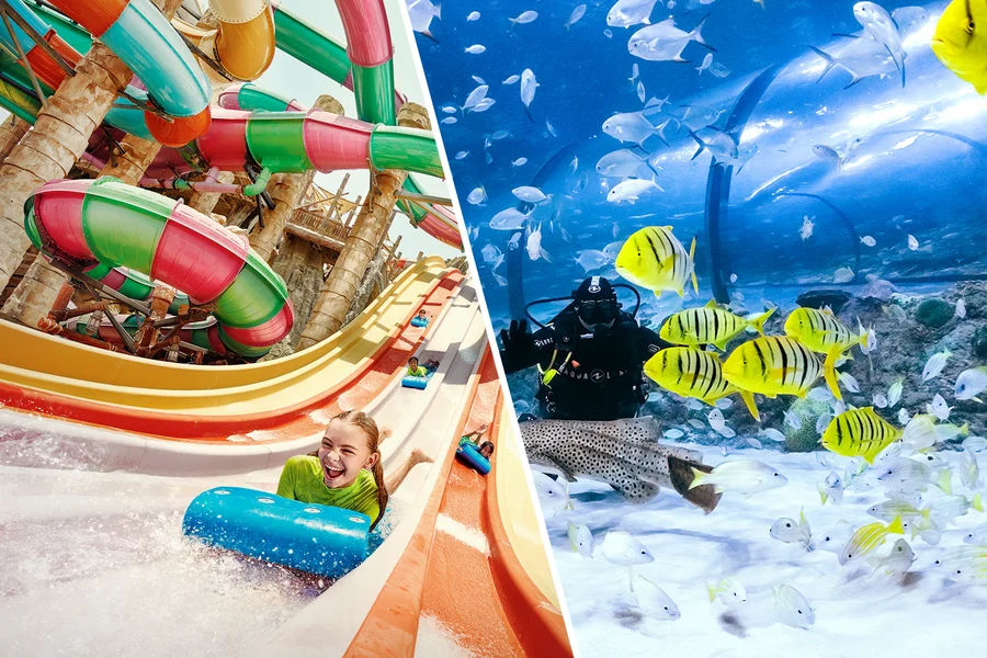 Combo (Save 17%): Yas Waterworld + The National Aquarium Tickets, Abu Dhabi