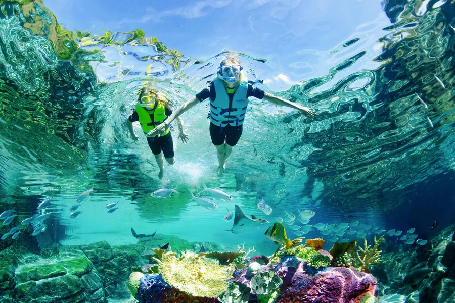 Discovery Cove Day Resort Tickets, Orlando
