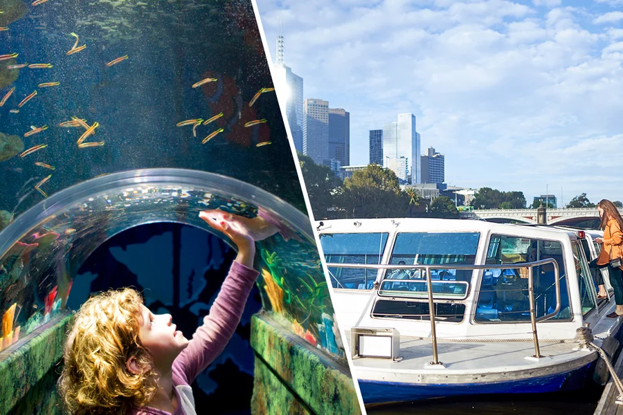 Combo: SEA LIFE Melbourne Aquarium Skip-the-line Tickets + Yarra River Cruise, Melbourne