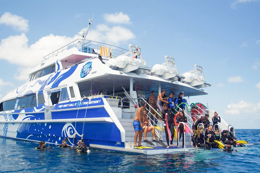 Cairns to Great Barrier Reef Full Day Cruise with Guided Snorkelling Tours, Cairns