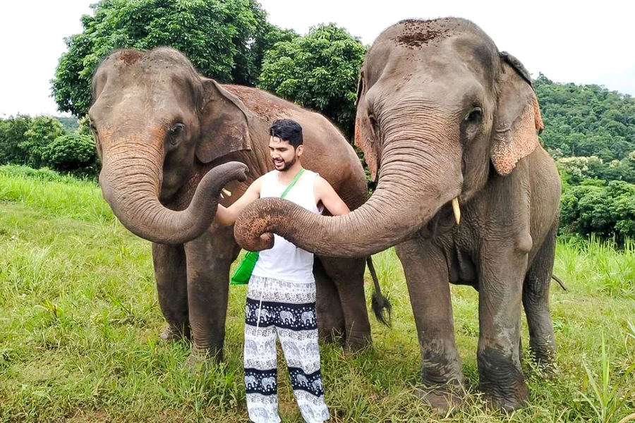 Chiang Mai: Pon Elephant Sanctuary Full-Day Guided Tour with Waterfall Experience, Chiang Mai