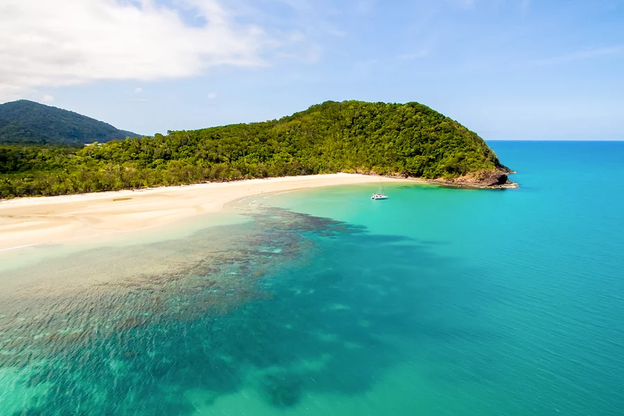 From Cairns/ Port Douglas: Full Day Tour of Daintree, Mossman Gorge & Cape Tribulation with Lunch & River Cruise, Cairns
