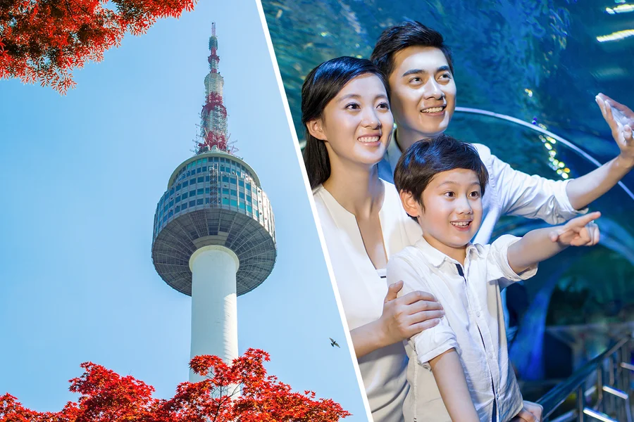 Combo (Save 21%): N Seoul Tower + SEA LIFE COEX, Seoul Aquarium Tickets, Seoul