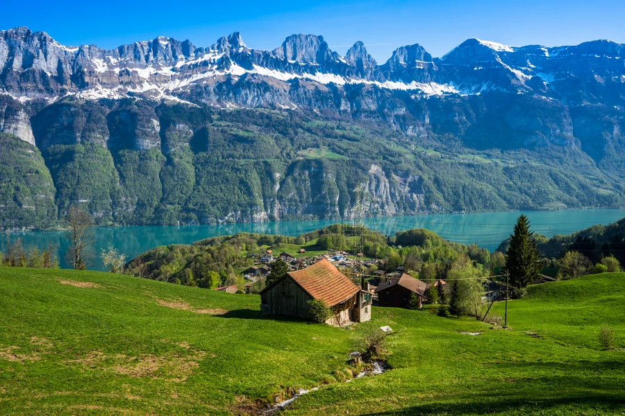 From Zurich: Day Trip to Heidiland & Liechtenstein, Zurich