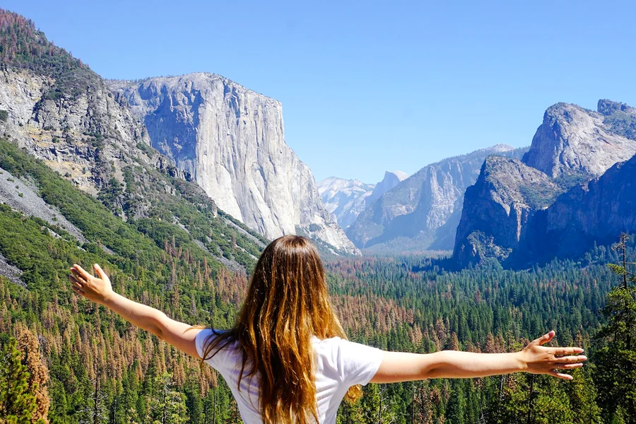 From San Francisco: Yosemite One-Way Tour, San Francisco