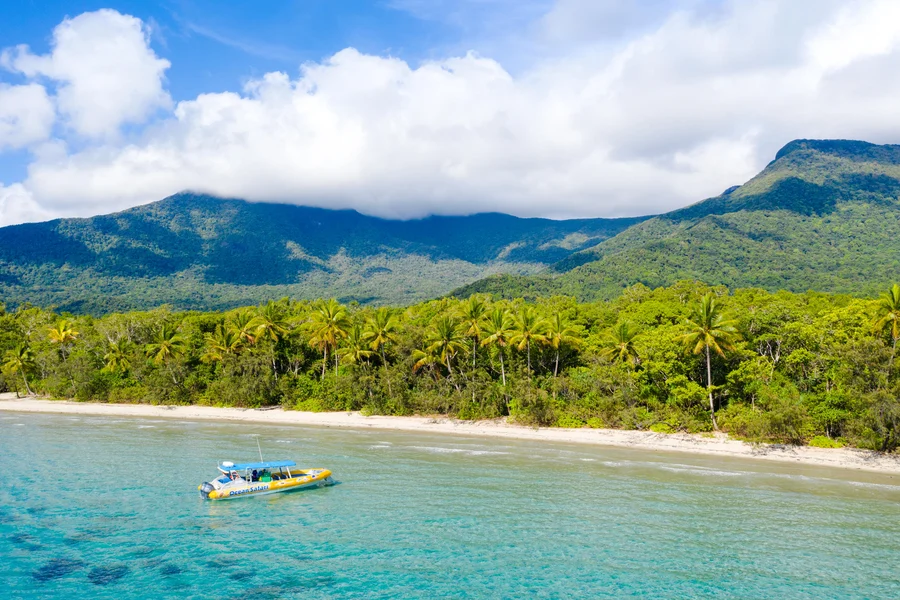 From Cape Tribulation: Great Barrier Reef Guided Snorkel & Eco Tour, Cairns