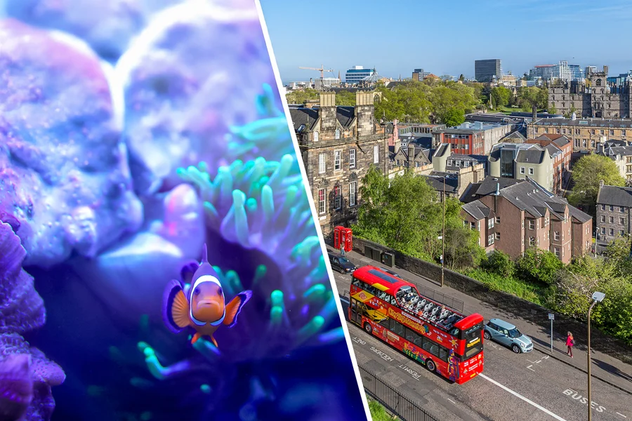 Combo (Save 5%): Edinburgh Zoo Tickets + Hop-on Hop-off Bus Tour, Edinburgh