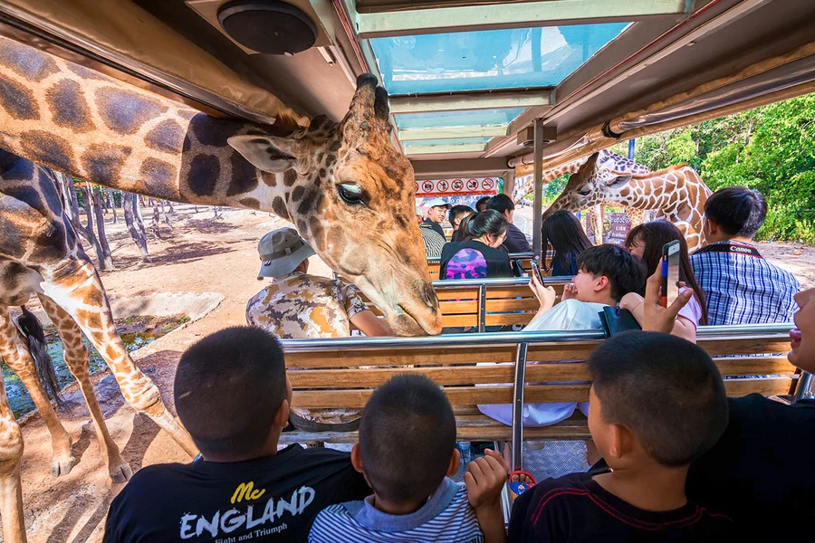 Chiang Mai Night Safari Tickets: Thai Residents, Chiang Mai