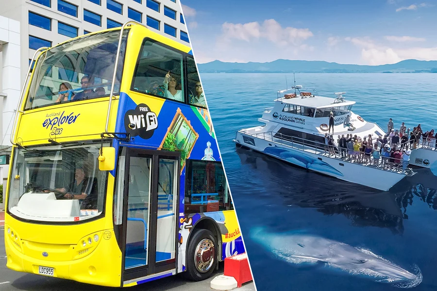 Combo: Auckland Explorer Hop-On-Hop-Off Tour + Whale & Dolphin Safari Cruise, at Auckland, New Zealand, Auckland