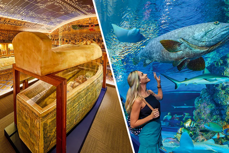 Combo: Tomb of the Pharaohs + Cairns Aquarium Tickets, Cairns