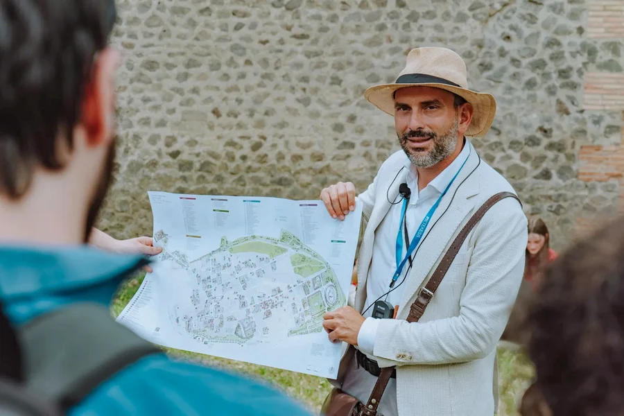 From Naples: Pompeii & Vesuvius Guided Tour with Transfers, Naples