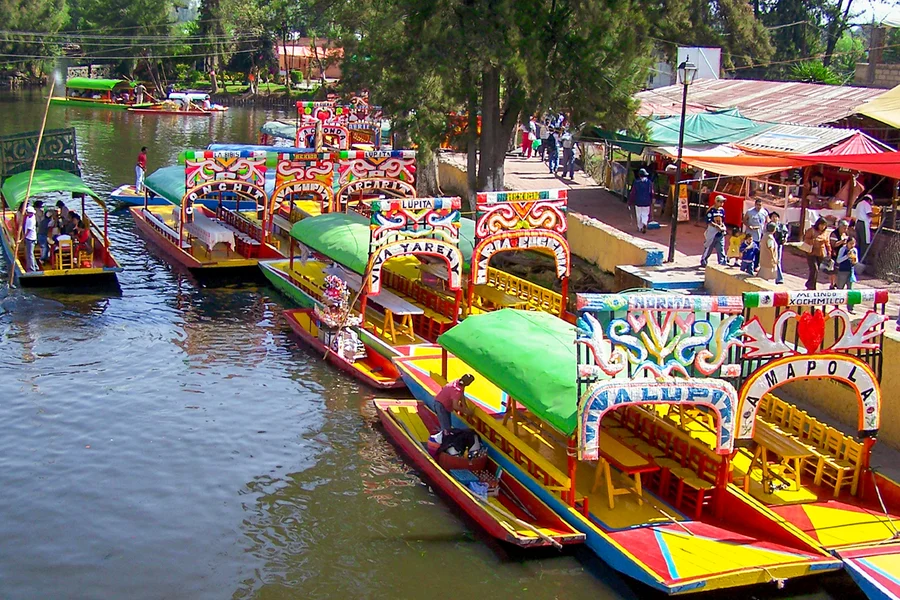 From Mexico City: Frida Kahlo Museum and Xochimilco Premium Tour, Mexico City